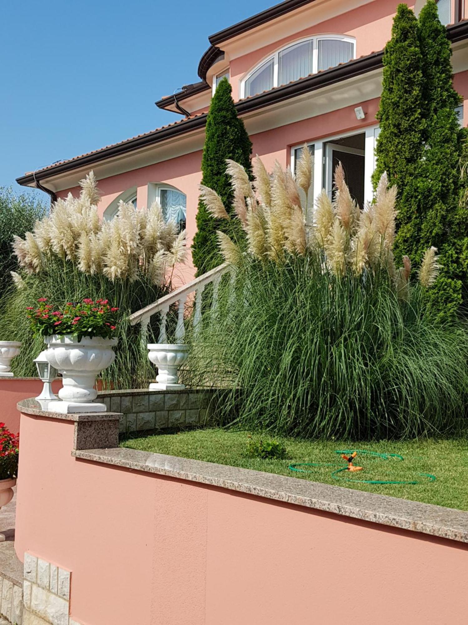 Apartments And Rooms Villa Chiara Krnica Kültér fotó